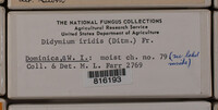 Image Associated With the Occurence
